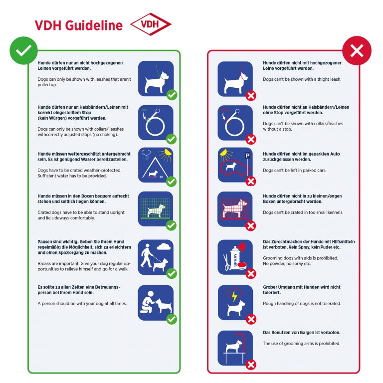 Aufsteller VDH-Ausstellungsguidelines – unverbindliche Vorbestellung