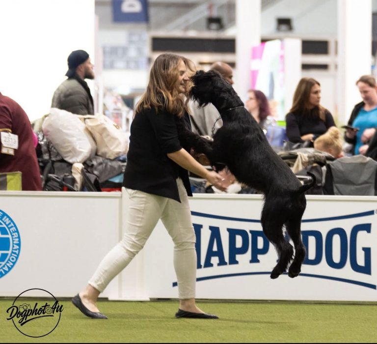Thüringer Erfolge auf der Bundessiegerschau und Agria Winner Show 2025 in Dortmund