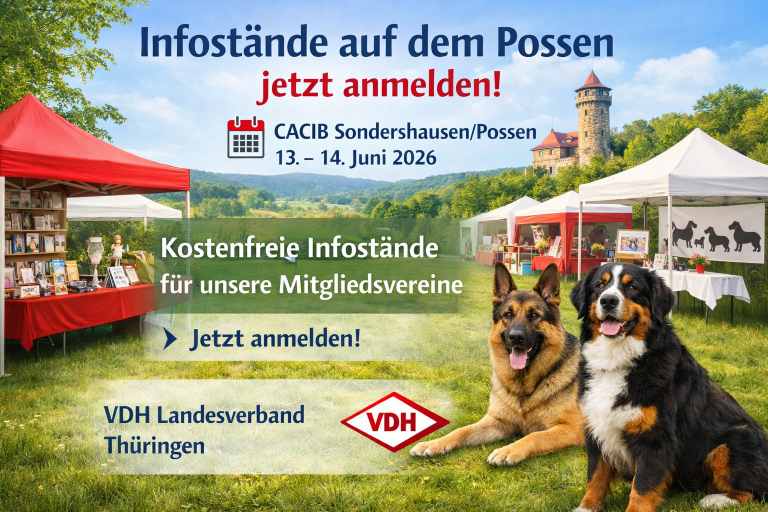 INFOSTÄNDE AUF DEM POSSEN