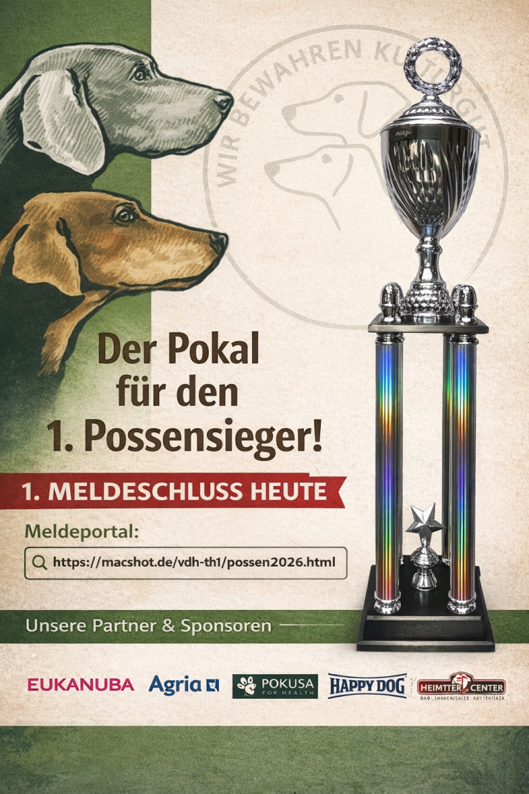 Heute 1.Meldeschluss! ⏰️