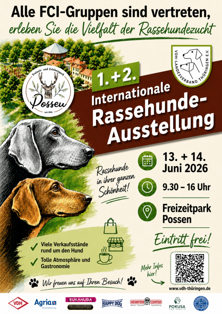Possen – Ringplan und Zeitplan