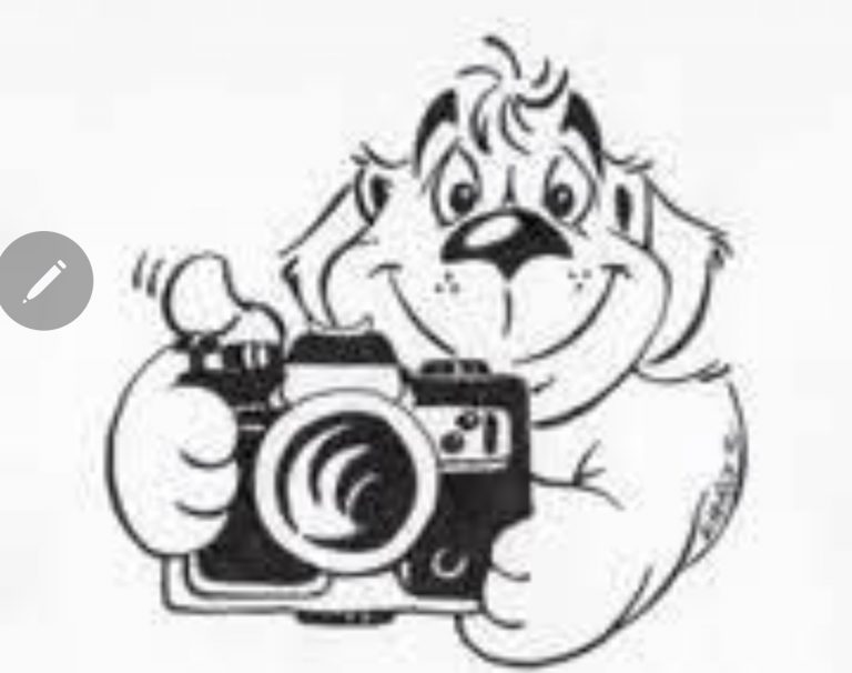 Gabordogfoto kommt nach Possen