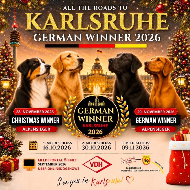 German Winner Show 2026 findet in Baden-Württemberg statt